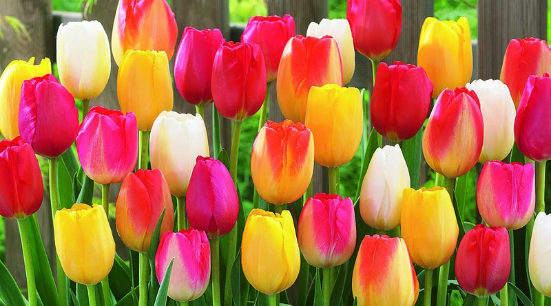 As Our 100-Year Celebration Nears Its Close