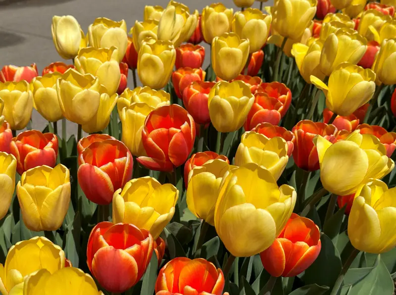 Fall 2025 Blends Are Now Available From Stock!