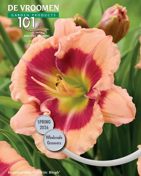 New for Spring of 2026