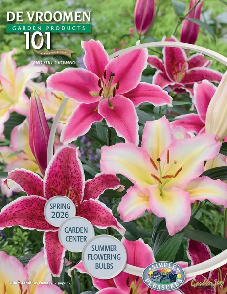 Your Guide to This Season’s Best-Selling Retail Picks