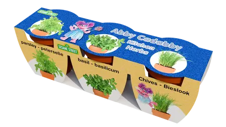 Abby Cadabby's Herbs terracota set XL Parsley/Chives/Basil