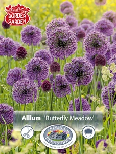 Allium Blend Butterfly Meadow | Cappers 30 x 15