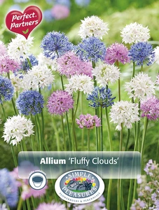 Allium Blend Fluffy Clouds | Cappers 40 x 16