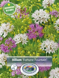 Allium Blend Fortune Fountain | Cappers 20 x 20