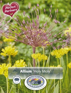 Allium Blend Holy Moly | Cappers 25 x 16