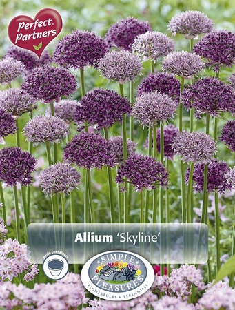 Allium Blend Skyline | Cappers 10 x 16