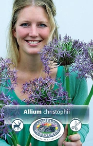 Allium Christophii (Albopilosum) | Cappers 4 x 15