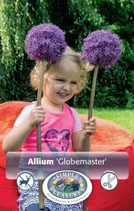 Allium Globemaster | 20 pce