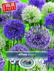 Allium Mixed | Cappers 8 x 15