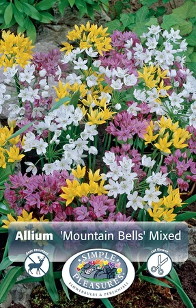 Allium Mountain Bells Mixture | Cappers 30 x 15