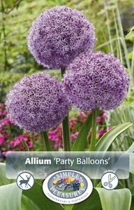 Allium Party Balloons | 20 pce