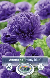 Anemone Blue | Capper 5 x 16