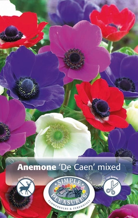 Anemone Monarch De Caen Mixed | Capper 5 x 16