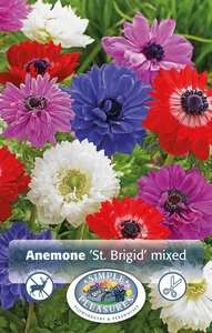 Anemone St. Brigid Mixed | Capper 5 x 16