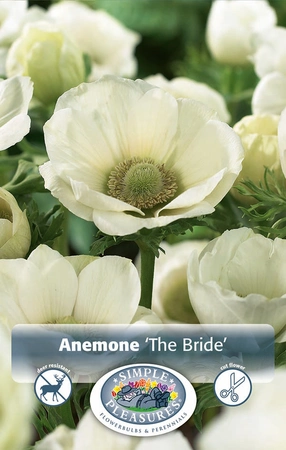 Anemone The Bride | Capper 5 x 16