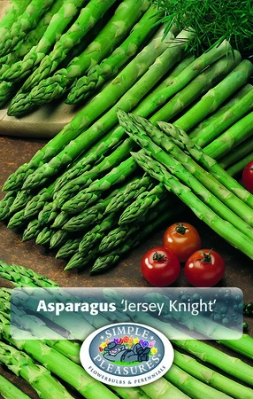 Asparagus Jersey Knight | Capper 5 x 16