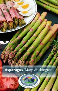 Asparagus Mary Washington | Capper 5 x 16