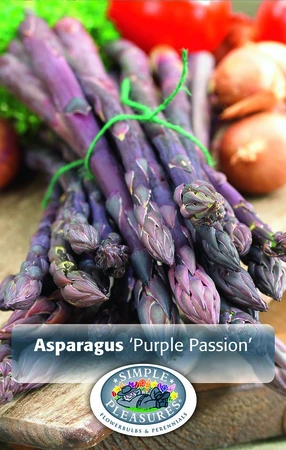 Asparagus Purple Passion | Capper 5 x 16