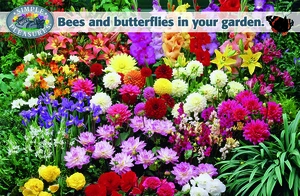 Bees and Butterflies in your Garden