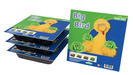 Big Bird's Herbs Cultivating Kit Lettuce 