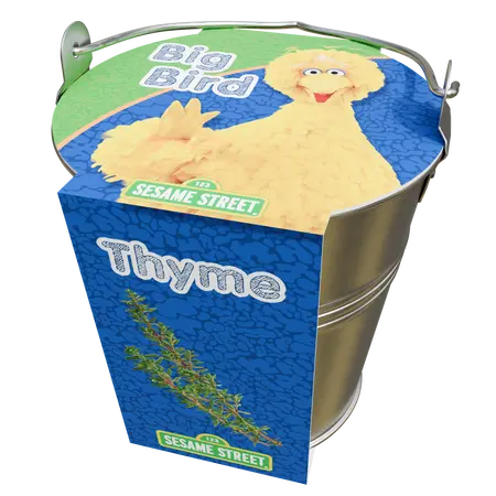 Big Bird's Herbs Zinc bucket Thyme