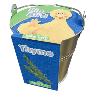 Big Bird's Herbs Zinc bucket Thyme