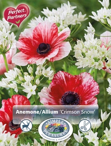 Blend Crimson Snow (Anemone/Allium) | Capper 5 x 16