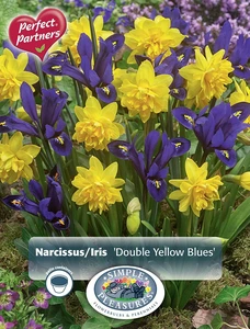 Blend Narcissus/Iris Double Yellow Blues | Cappers 14 x 16