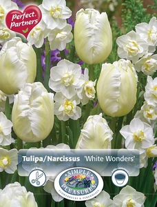 Blend Narcissus/Tulipa White Wonders | Cappers 10 x 16