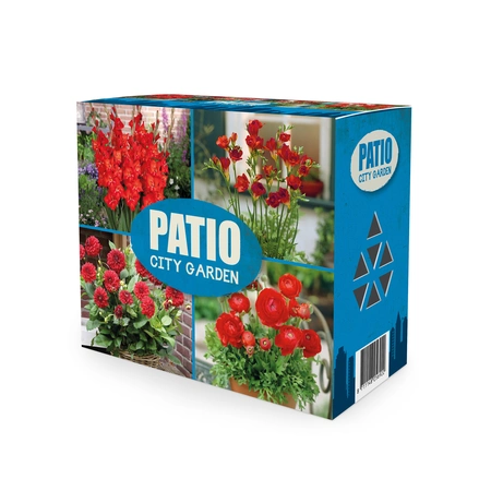 Blend Patio City Garden Red Mix | Capper 5 x 16