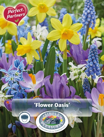 Blend Spring Flower Oasis | Cappers 40 x 16