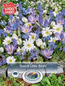 Blend Sweet Little Birds | Cappers 40 x 15