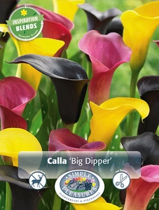 Calla Calla Big Dipper | Capper 5 x 16