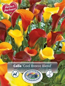 Calla Calla Cool Breeze Blend | Capper 5 x 16