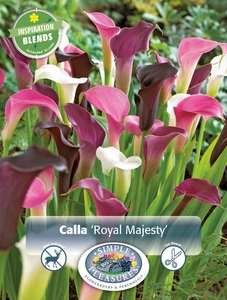 Calla Royal Majesty Blend | Capper 5 x 16