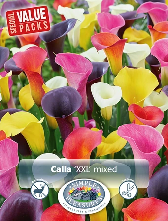 Calla XXL | Capper 5 x 16