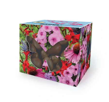 Collection Butterfly Perennial Box | Capper 5 x 16