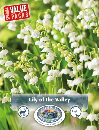 Convallari Lily of the Valley | Capper 5 x 16