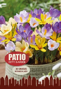 Crocus Specie botanical mix | Cappers 30 x 20