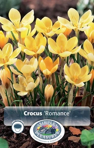 Crocus Specie Romance | Cappers 20 x 16