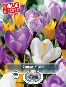 Crocus Vernus Giant mixed | Cappers 30 x 20