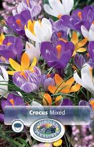 Crocus Vernus Mixed | Cappers 15 x 16