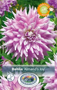 Dahlia Almand's Joy | 24 pce