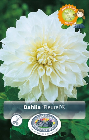 Dahlia Fleurel | 24 pce