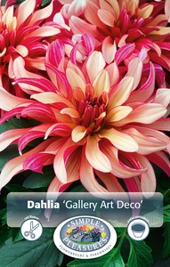 Dahlia gallery Art Deco | 12 pce