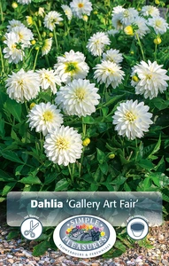 Dahlia gallery Art Fair | 24 pce