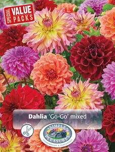 Dahlia Go-Go Mix | Capper 5 x 16