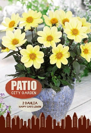 Dahlia Happy Days Lemon | Capper 5 x 16