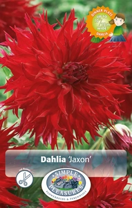 Dahlia Jaxon | 24 pce