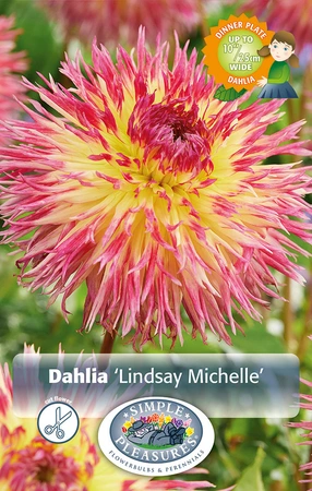 Dahlia Lindsay Michelle | 24 pce